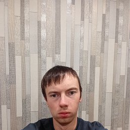 , 29, 