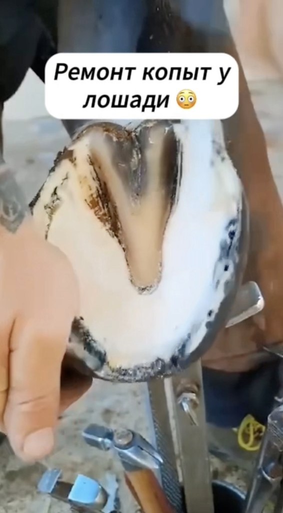     ?  - 2