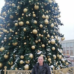 �����, �����, 51 ���