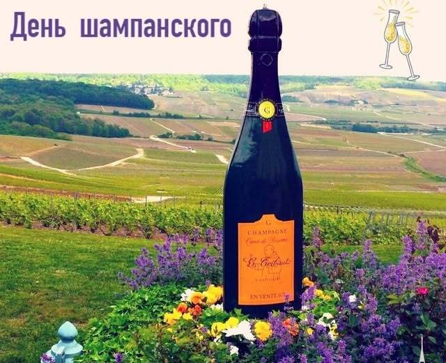 24    .          ...