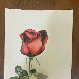  , , 46  -  12  2025