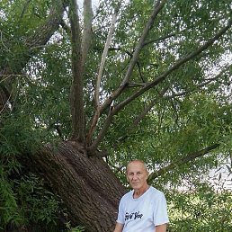 ����, �������, 56 ���