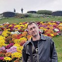 ���� �������, ������, 48 ��� - ��������� 24 ������ 2025