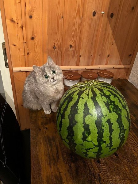 ��� �������� �������� - 13 ������� 2026 � 00:20 - 5