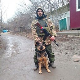 ����� ��������, ������, 31 ���