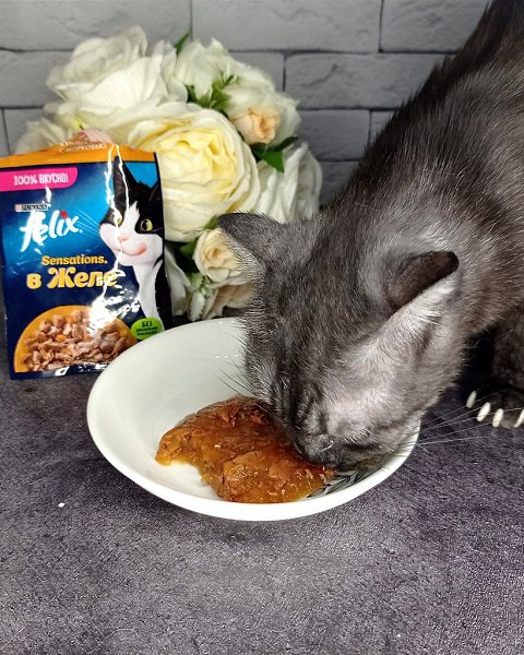 ��������� �� ���� ������ ������ �� ���� ���������� �� ������� ���� Felix: � �� �������� ��������� ... - 3