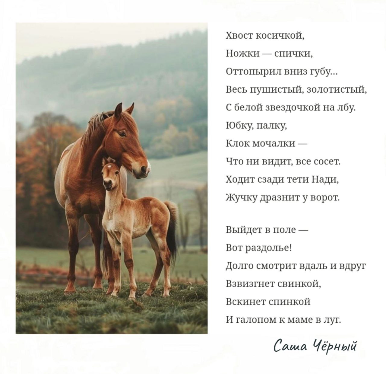 ������ - 30 ������ 2025 � 14:14