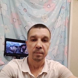 , 40, 