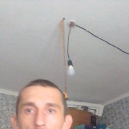 , 32, 