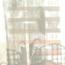 Vak, , 50 