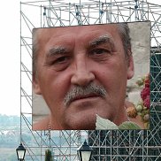 , 67 , 