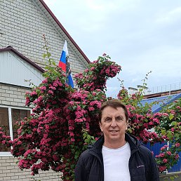 , 60, 