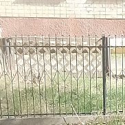 , 37 , 