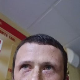 , 33, 