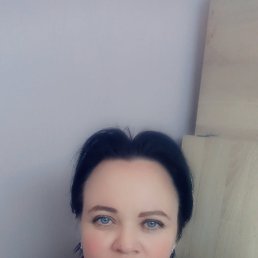 , 41, 