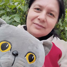 �����, ���������, 51 ���