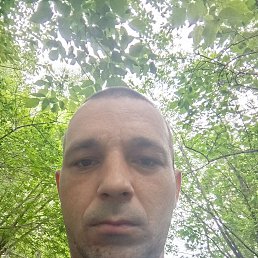  , 31 , 