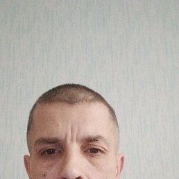 ���������, 43 ����, ���