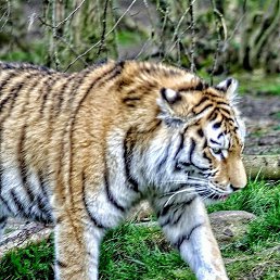 ������, ������, 42 ����