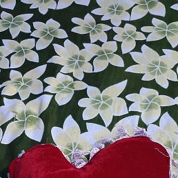 Vinni, �����������, 24 ����