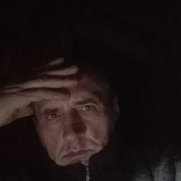 , 56, 