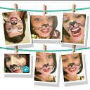  , -, 32  -  31  2025    