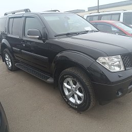 ���� �����, �������, 39 ��� - ��������� 28 ����� 2024