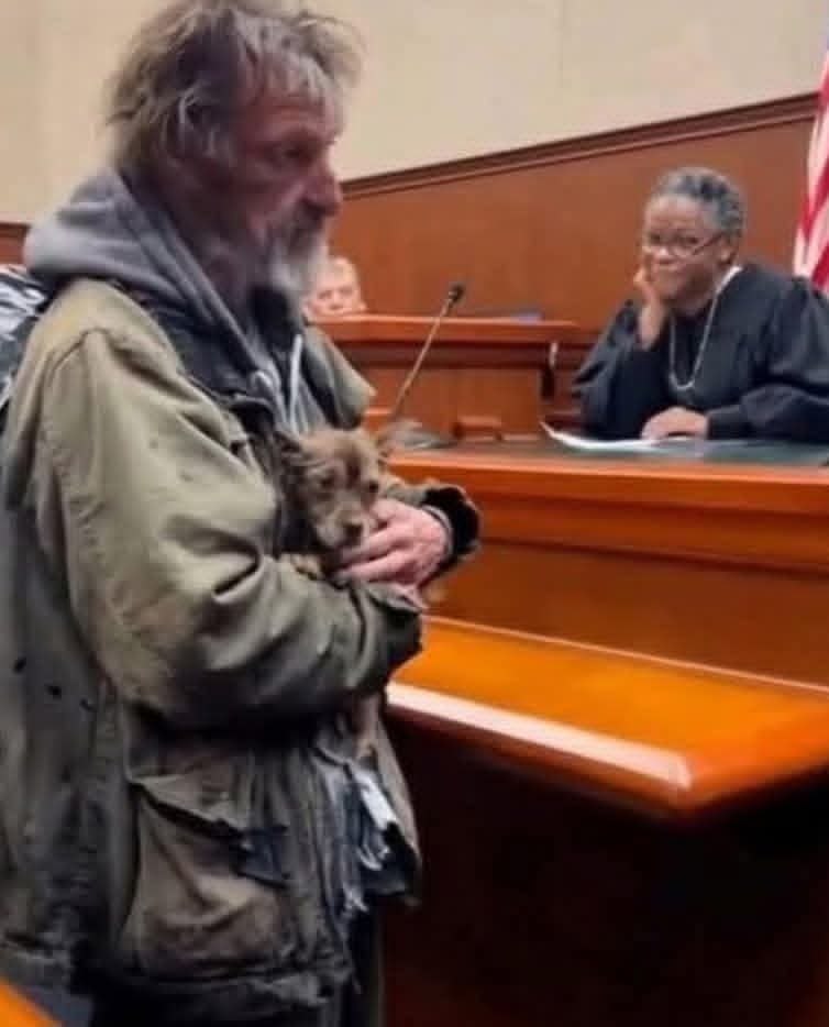   ...  ,       .     .  ...