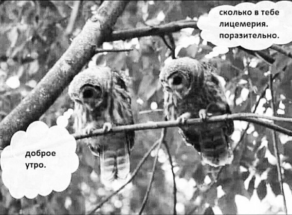 ***Victoria Viktorovna*** - 28  2025  03:37