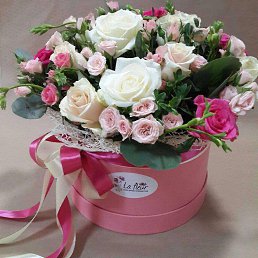 ���� �����, ������, 39 ��� - ��������� 14 ������ 2024