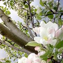 ���� �����, �����, 37 ��� - ��������� 20 ��� 2025