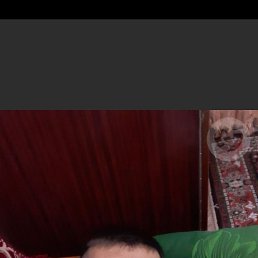 , 41, 