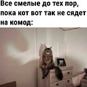 ���� ���������, ������, 59 ��� - ��������� 28 �������� 2026 � ������ ������ ��������