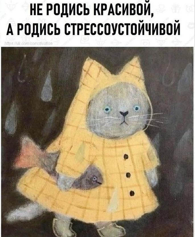 ����� - 5