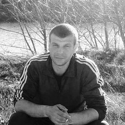 , 37, 