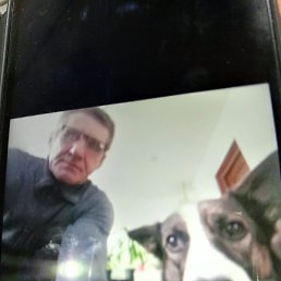 ����, �����-���������, 58 ���