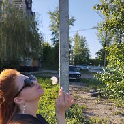 , 34 , 
