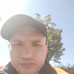 , 31, 