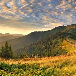 �������, ������, 34 ����