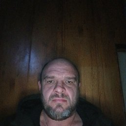 ���������, 41 ���, ���������