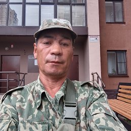  , 46 , 