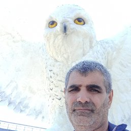  , 56, 