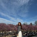 ���� �����, �����������, 22 ���� - ��������� 10 ��� 2026 � ������ ���� ����������