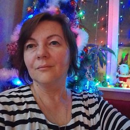 ���� �����, ������, 44 ���� - ��������� 16 ������� 2026