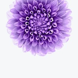 , , 30 