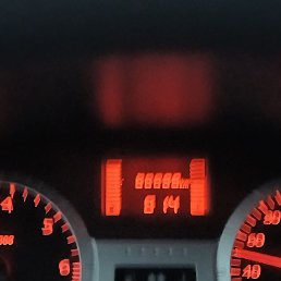 ����, ������, 41 ���