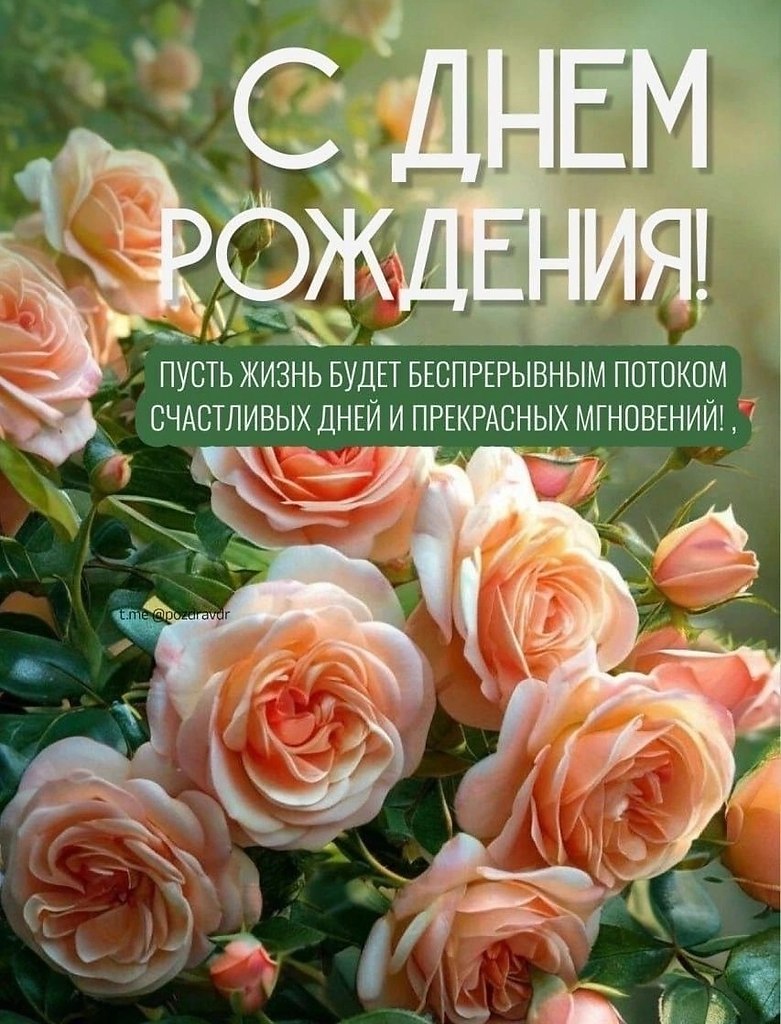   ,    . - 18  2025  23:00