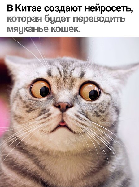 ������ - 11 ��� 2025 � 20:39