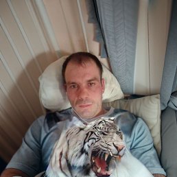 ����, 37 ���, ������