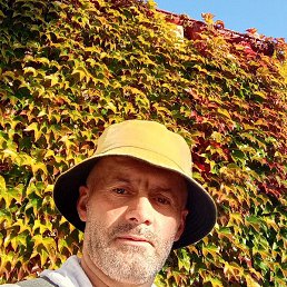 ������, ������, 40 ���